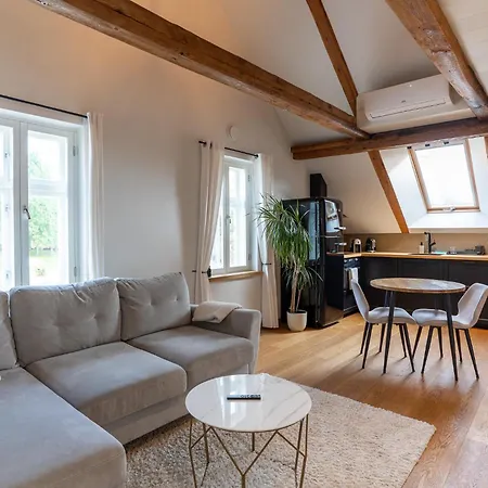 Daire Jueri 15 Kesklinna *