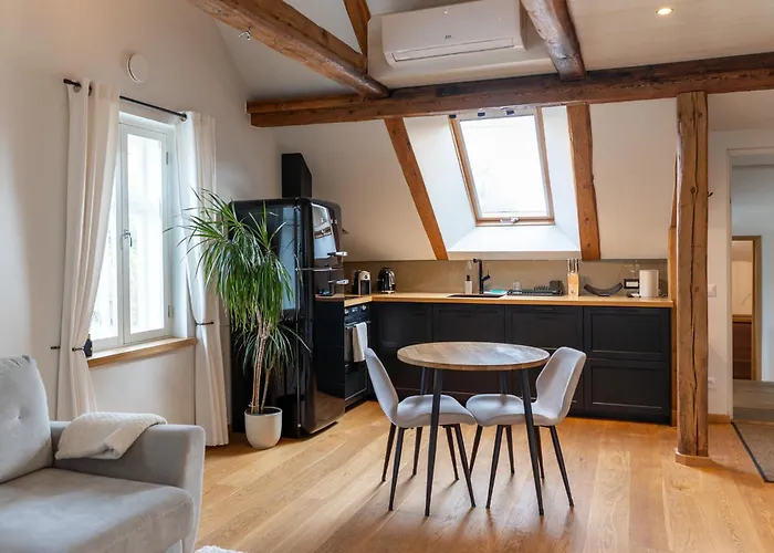 Korter Jueri 15 Kesklinna