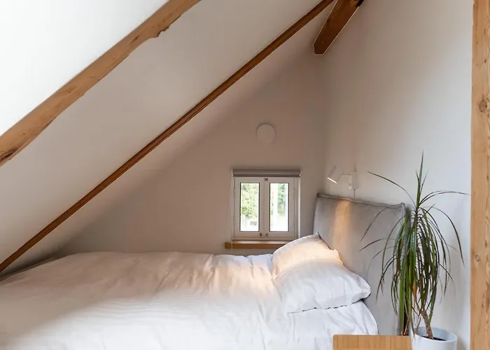 Jueri 15 Kesklinna * Voru