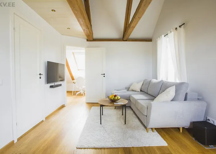 Jueri 15 Kesklinna Korter *